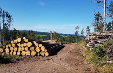Ferienwohnung am Schneeberg - Foto 35