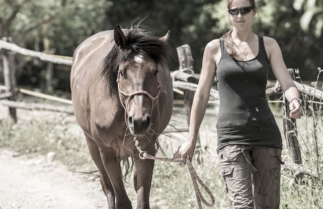 Agriturismo Fattoria Lavacchio - Foto 65