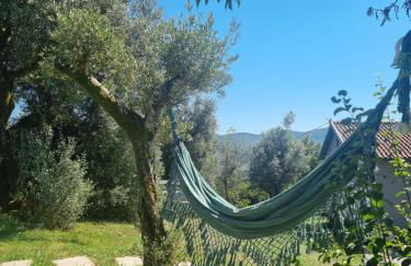 Casa Ermida - Photo 35