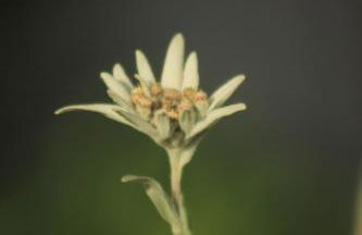 Ferienwohnungen Gastager - Foto 4