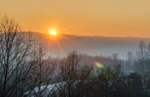 Domki W Sam Las & SPA Lubenia - Foto 13