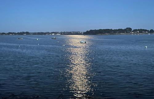 Les Hauts de Locmiquel apartment with private heated pool - Photo 43