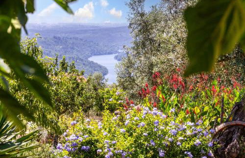 R3 Service Quinta dos Covais - Foto 37