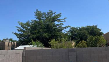 Comfy, contemporary quiet retreat vacation home with views - Foto 3