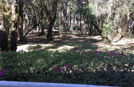 Lindo Studio no Mountain Village - Foto 40