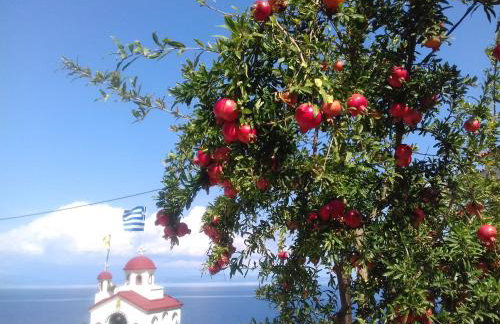 Aegean Blue Studios - Foto 71