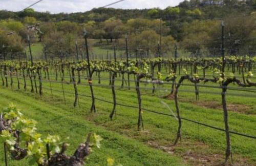 Your Lifetime Memories Create Here, Lake View, Infinity Pool, Jacuzzi & Pickleball - Foto 44