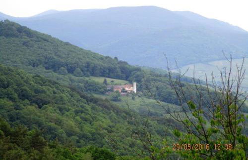 Phönix aus der Asche - Foto 30