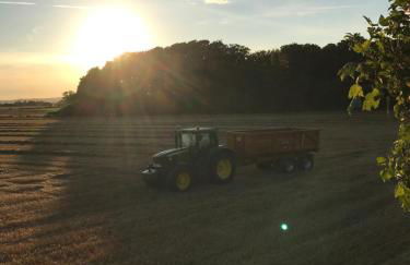 The Annex @ 3 East Town Cottages - Photo 34