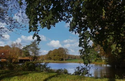 FeWo Grafschaft - Foto 40