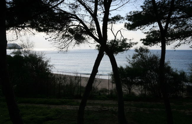 Villa Luisa - Photo 75