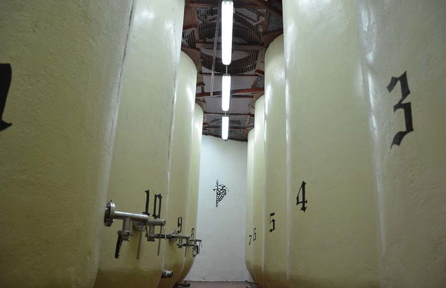 Visite de la cave à vin Campos de Dulcinea - Photo 4