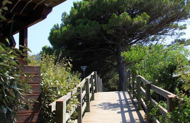 Residence Moby Dick - Foto 29