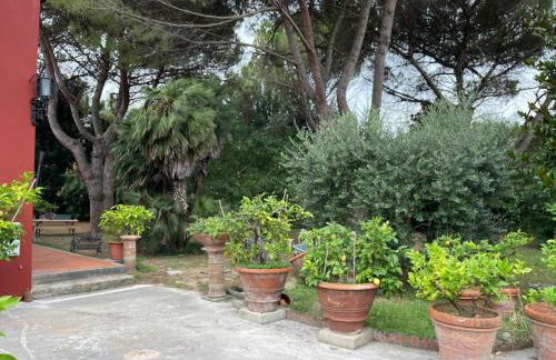 Il Piccolino - Foto 6