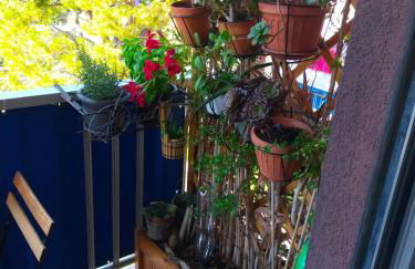 Appartamento Riviera Trilocale wifi e parcheggio privato - Foto 16