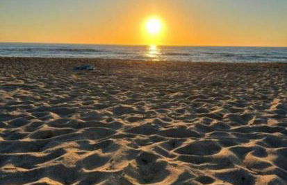 La Pavoncella - Foto 41