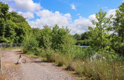 Ambleside - Photo 44