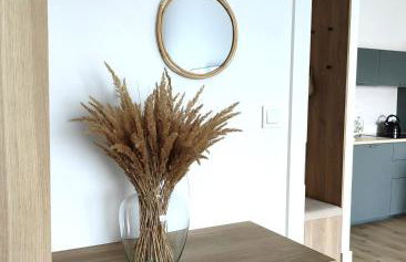 Apartament Natura 24 - SPA, siłownia - Foto 11