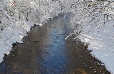Ferienwohnung NEST - Foto 40