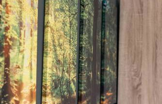 Apartment Schwarzwald mit Zugang Pool und Sauna - Foto 19