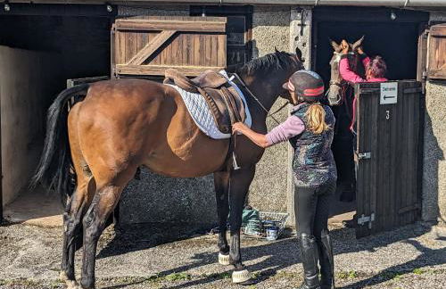 The Coach House, Yealand Redmayne perfect for a family in a rural setting, bring your dogs and horse - Photo 25