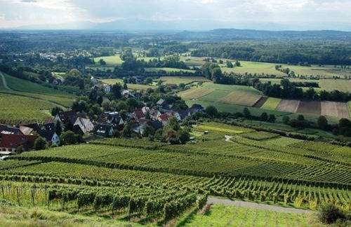 Family-Friendly Apartment - Foto 34