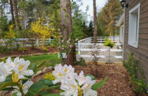 Sosnowy Azyl - Foto 24