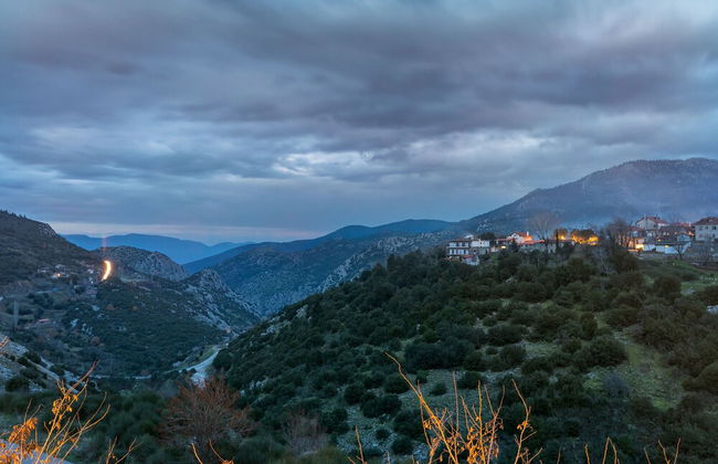 Volhon Mansions of Parnassos - Photo 29