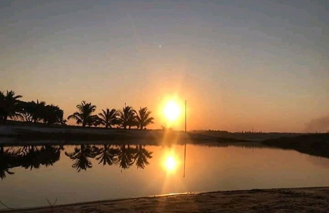 Log Cabin On And Overlooking a 9km Lagoon - Photo 11