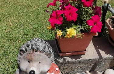 Αξέχαστη διαμονή - Unforgettable accommodation - Foto 38