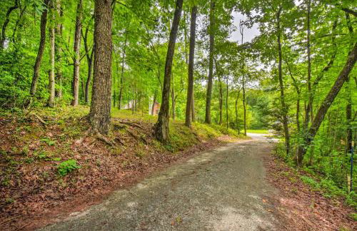 Chauga River Cabin Pets Welcome! - Foto 37