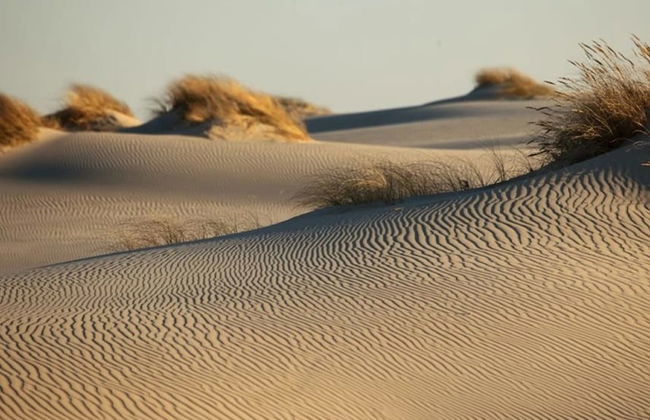 Holiday Apartment Near the Beach in Rowy - Foto 37