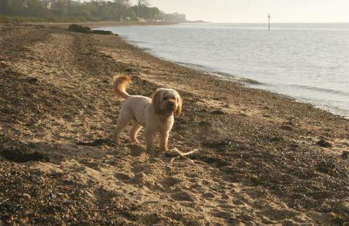 Secret Mersea Retreat - a stroll from the anchorage! - Foto 13