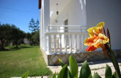 Explorer's Rest - Foto 80