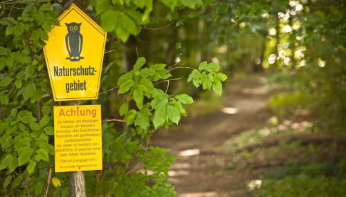 Gästehaus Niederhof - Foto 4