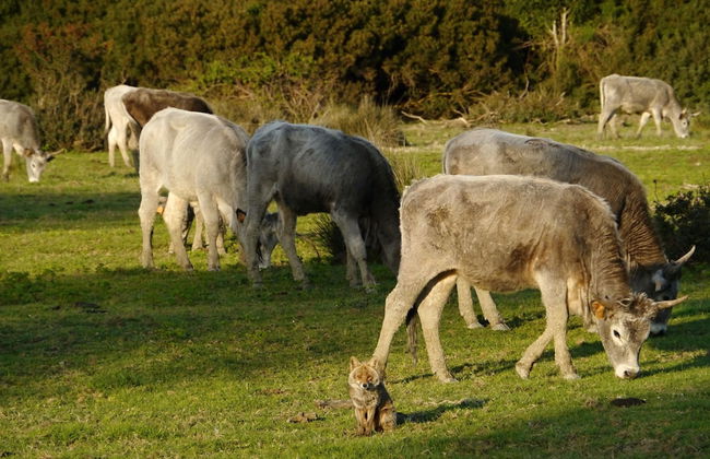 Agriturismo La Valentina Nuova - Foto 44