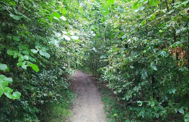 Ebenerdige Wohnung mit Terrasse in Winterberg - Foto 34