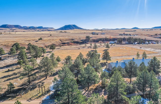 Tree Deer Blind - Foto 35