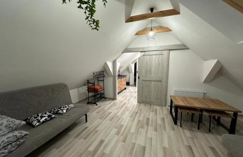 Agroturystyka PLENER - Foto 53