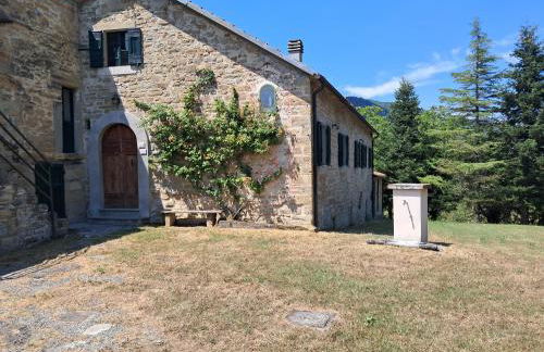 La Cavina 83 Località Fantella - Foto 43