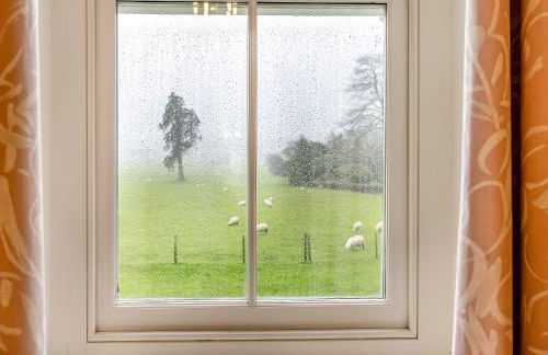 Brynog Mansion Apartment - Foto 6