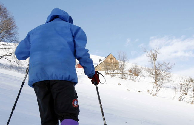 Tour con racchette da neve al Parco Nazionale Pyhä-Luosto - Foto 1