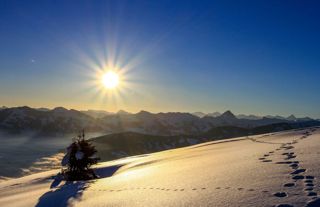 Troadkasten - Foto 77