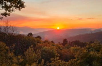 Bayo - terra essentia - Foto 9