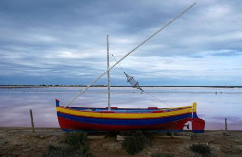 Domaine du Petit Tournebelle - Foto 52