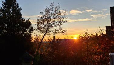 Das Waldhaus - Foto 2