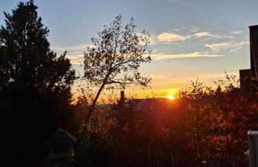 Das Waldhaus - Foto 2