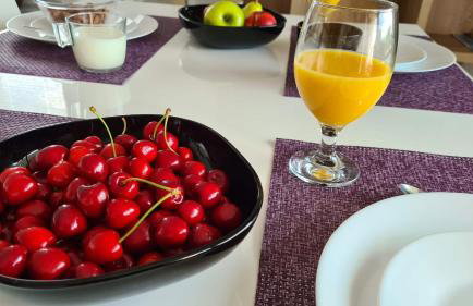 Vila Primorka Apartmani Oleander - Foto 22