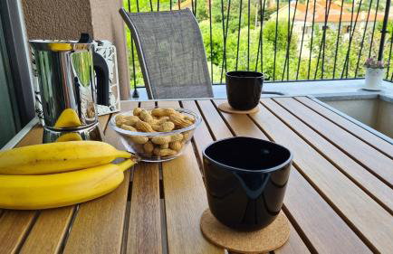 Vila Primorka Apartmani Oleander - Foto 47