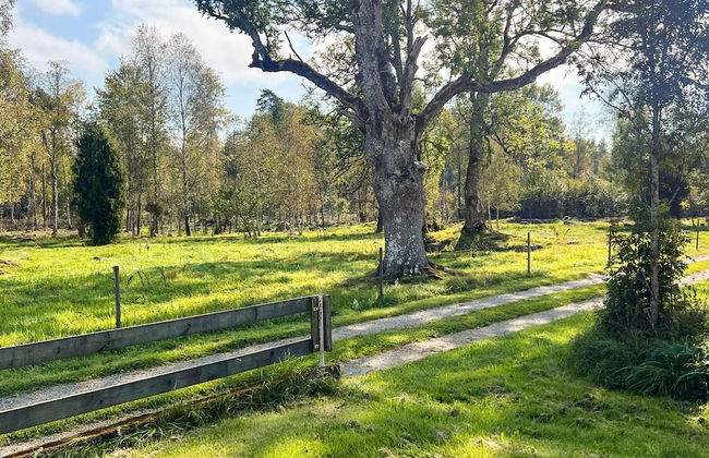 4 Person Holiday Home in Tingsryd - Foto 21